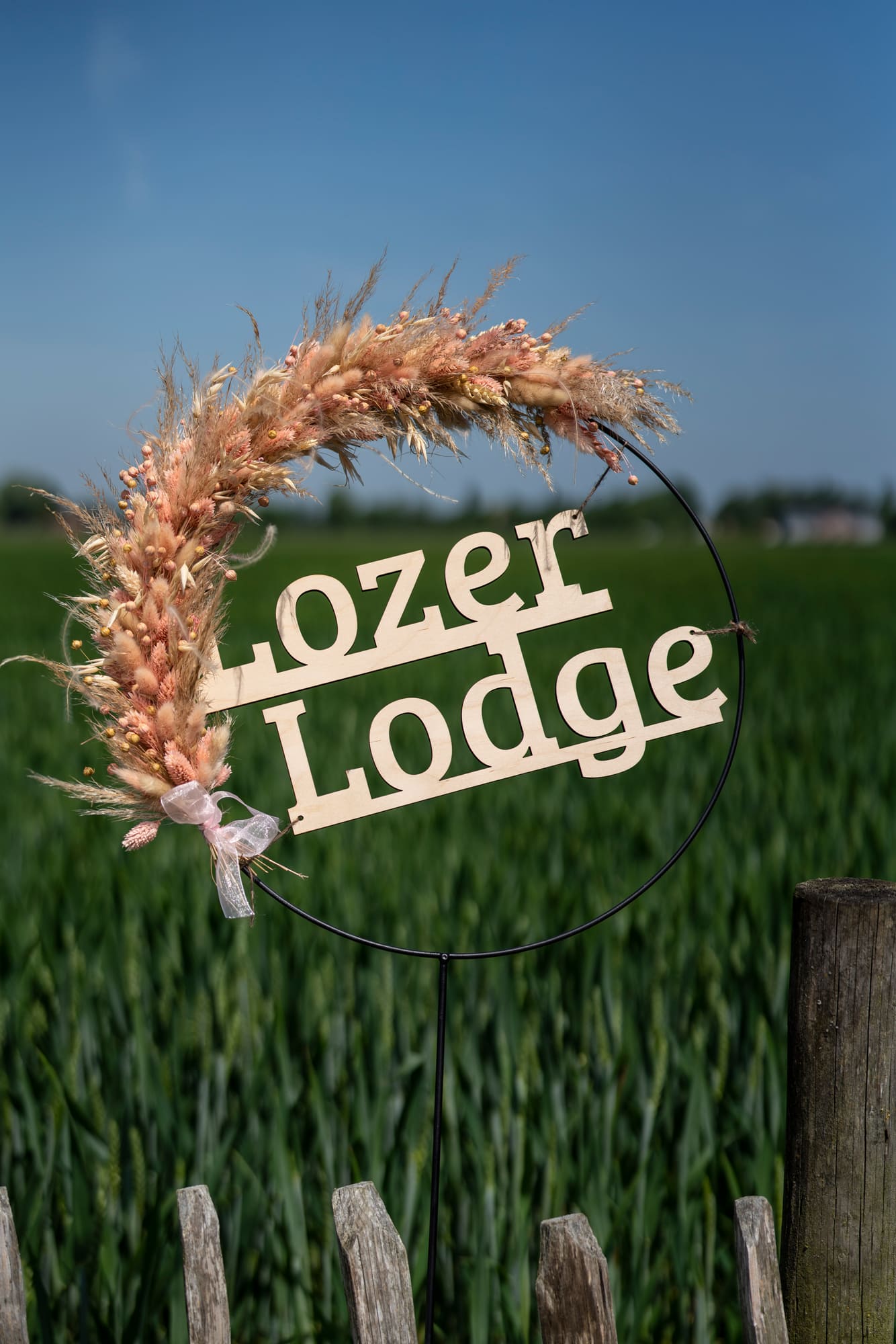 lozer-img